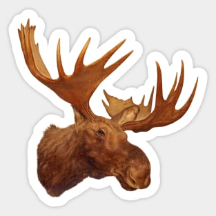 Moose Head Sticker